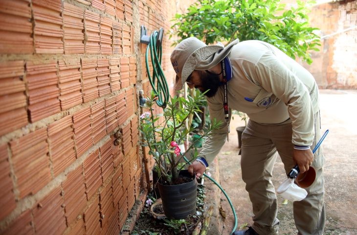Mato Grosso do Sul registra 8.052 casos confirmados de dengue