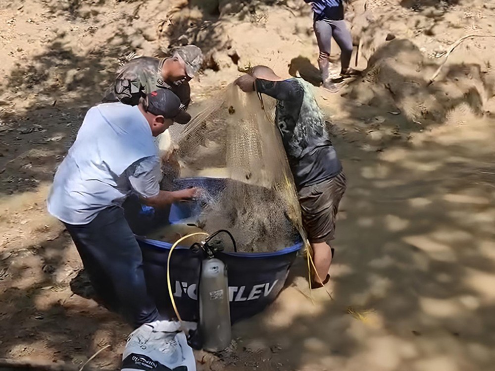MP investiga seca e autoriza retirada de peixes no Rio da Prata em Jardim