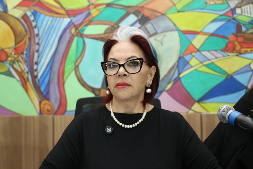 Lourdes Monteiro propõe recapeamento de rua no Andreazza e mutirão de revitalização no Centro