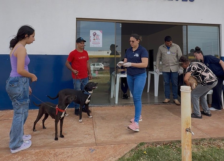 Campanha de vacinação antirrábica chega neste sábado à região sul de Ponta Porã