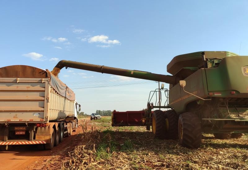 Produção agropecuária de MS cresce 24% e movimenta R$ 76 bilhões