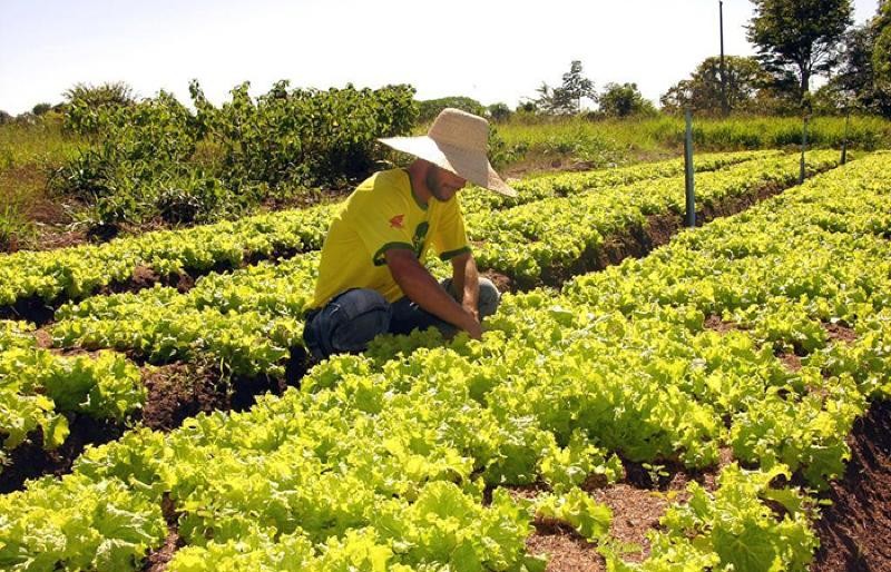 Prefeitura lança programa “AgroAmigo” no distrito de Nova Itamarati