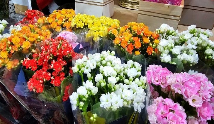 Procon de Mato Grosso do Sul encontra diferenças de preços de flores de até 194,12%