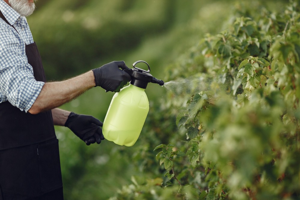 Controle de pragas e sustentabilidade no campo serão debatidos na Ponta Agrotec 2025