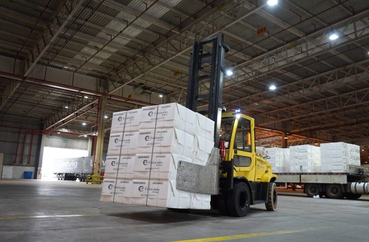 Celulose mantém liderança e exportações de MS crescem 4,24% no acumulado de 2025