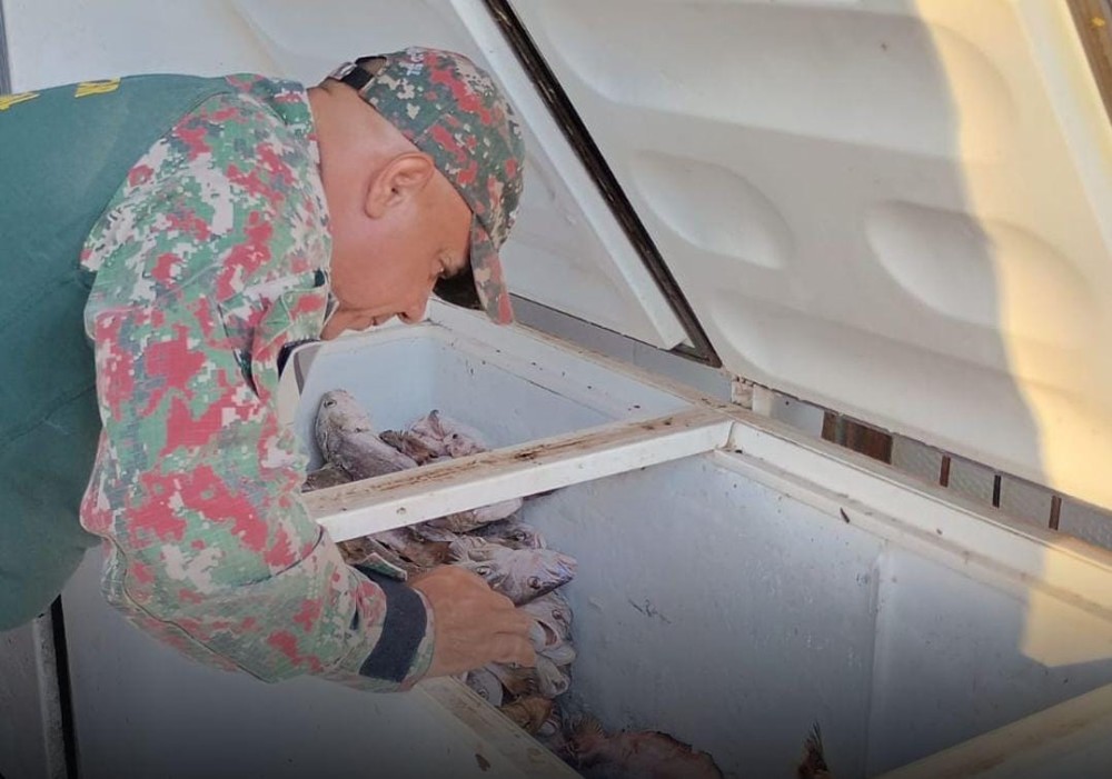 PMA realiza vistorias em comércios de pescado durante a Operação Piracema