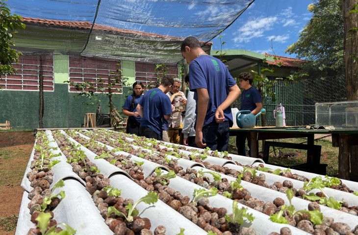 Escola estadual de MS transforma água de ar-condicionado em alfaces sustentáveis