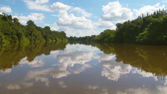 Empresas são multadas em R$ 300 mi por contaminação do Rio Dourados por agrotóxico