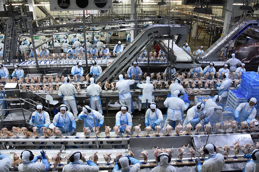Exportações de produtos industriais de MS alcançaram em outubro US$ 710,6 milhões