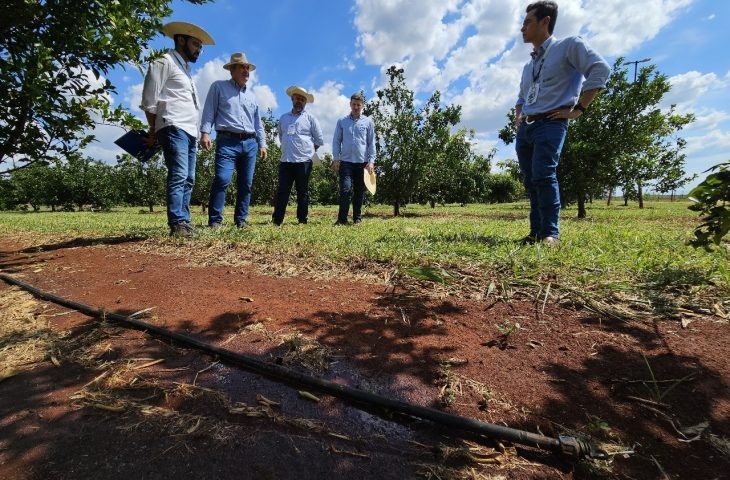 Governo avança em capacitações do MS Irriga e destaca potencial para irrigar 4 milhões de hectares