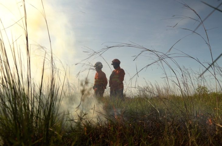 Com queda histórica nos focos de calor, MS vive melhor ano em quase 3 décadas