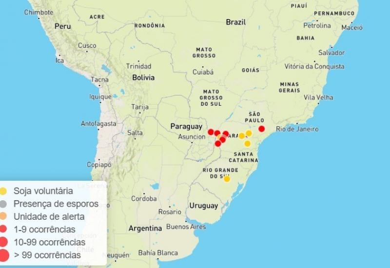 Safra 25/26: Primeiro foco de ferrugem asiática em área comercial é confirmado em MS
