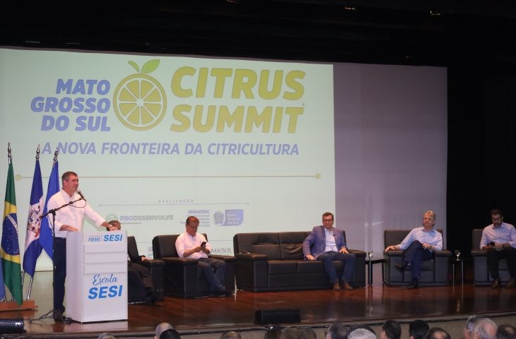 Citricultura de MS avança como nova fronteira agrícola brasileira