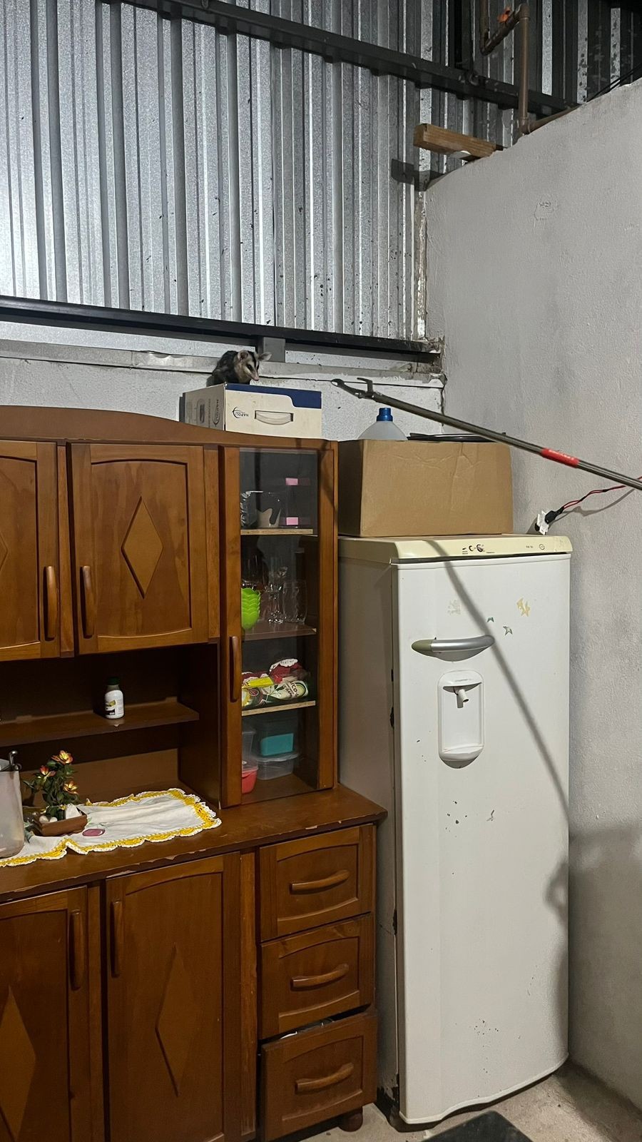 PMA de Amambai resgata gambá no interior de residência