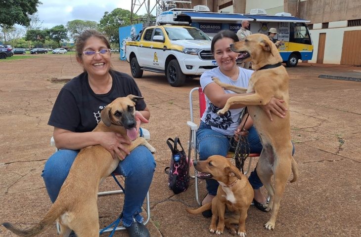 Caravana da Castração inicia os trabalhos de 2026 na próxima quinta-feira; saiba os locais