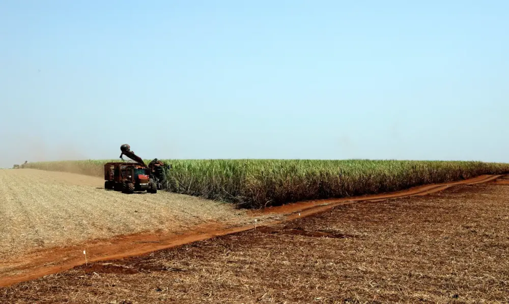 IBGE prevê safra recorde de 346 milhões de toneladas em 2025