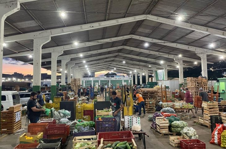 É agricultor? Saiba como vender na Ceasa de Mato Grosso do Sul