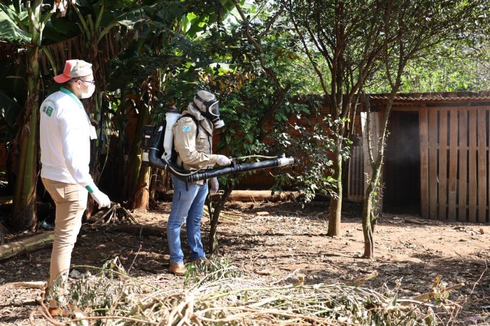 Equipes de Controle de Vetores trabalham no combate a dengue no Distrito de Sanga Puitã