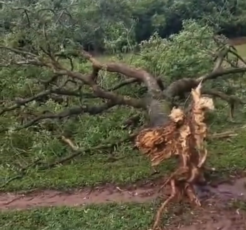Temporal provoca estragos e assusta moradores da zona rural entre Ponta Porã e Dourados