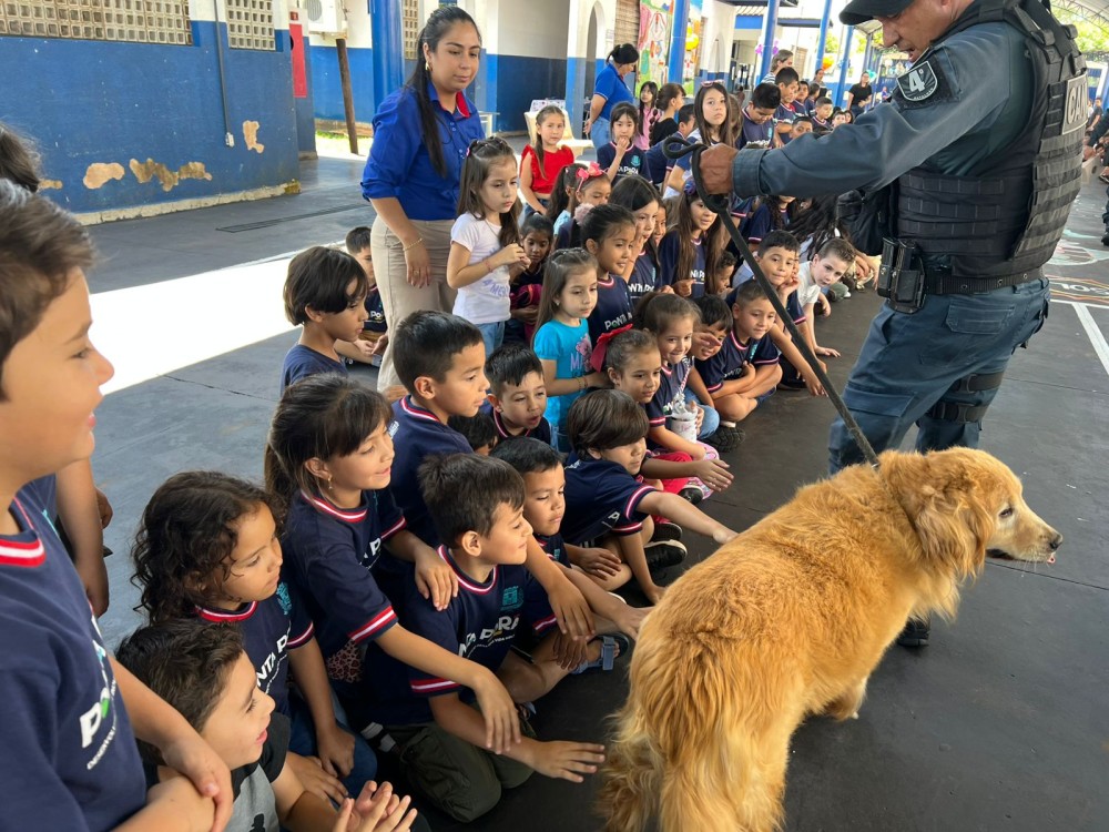 Volta às aulas em Ponta Porã tem ação educativa sobre bem-estar animal para mais de 100 crianças