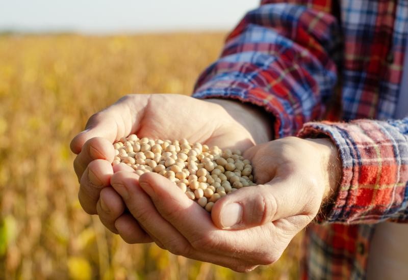 Lei reduz incentivos federais e pode elevar custos para produtores rurais; entenda