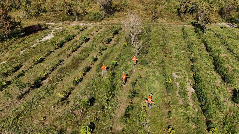Programa destina R$ 6,1 milhões para projetos que preservem o Pantanal