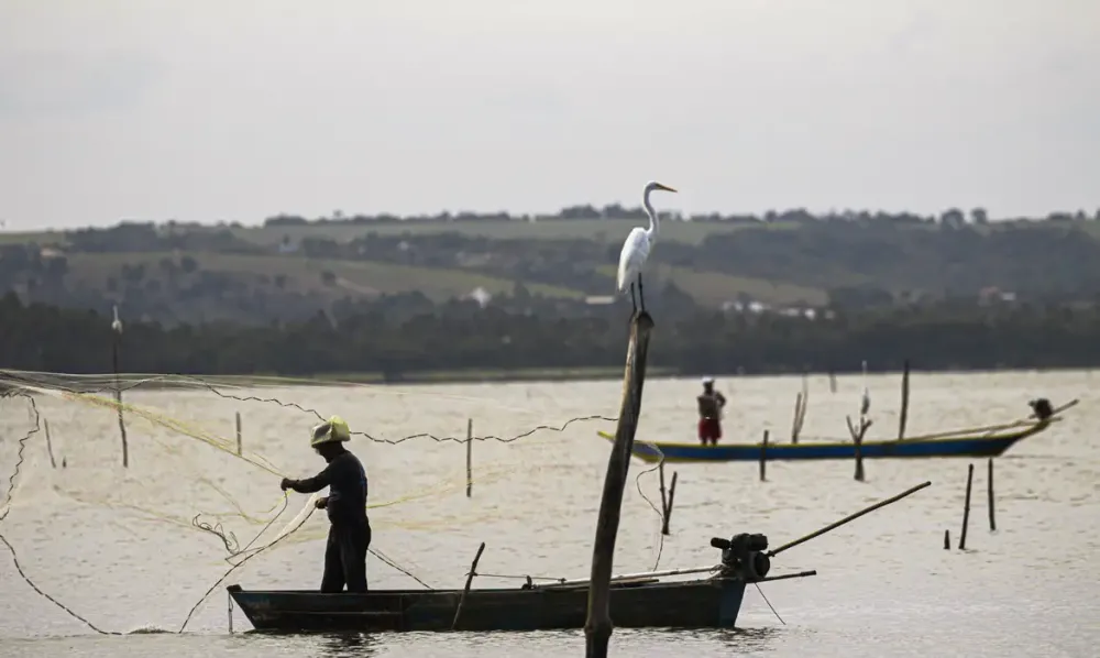 Sexto lote do seguro-defeso será disponibilizado na terça-feira