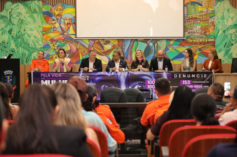 Audiência Pública sobre violência contra a Mulher: “combate se faz a cada segundo”