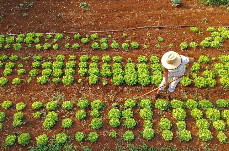 Agraer fortalece acesso ao crédito rural para quem trabalha no campo