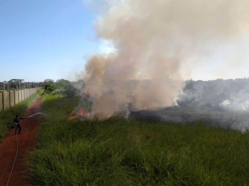 Incêndio atinge área de vegetação em Dourados