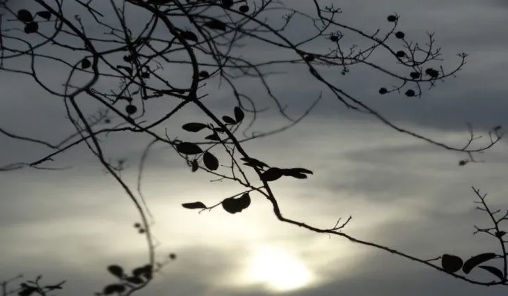 Dia de sol com algumas nuvens e frio de 12ºC em Ponta Porã