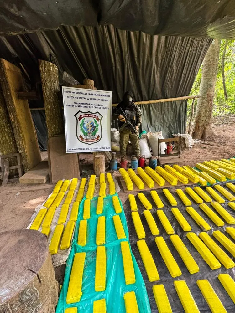Operação destrói quatro hectares de maconha e apreende 200 quilos da droga na fronteira 