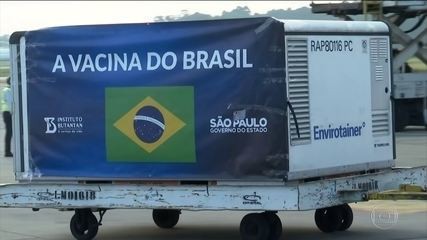 Insumos para produção de 14 milhões de doses da CoronaVac chega a SP