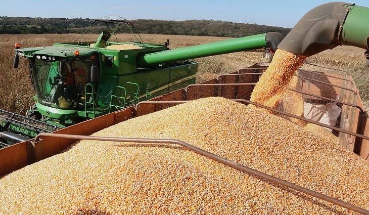 Colheita da soja entra na reta final e plantio do milho avança no MS