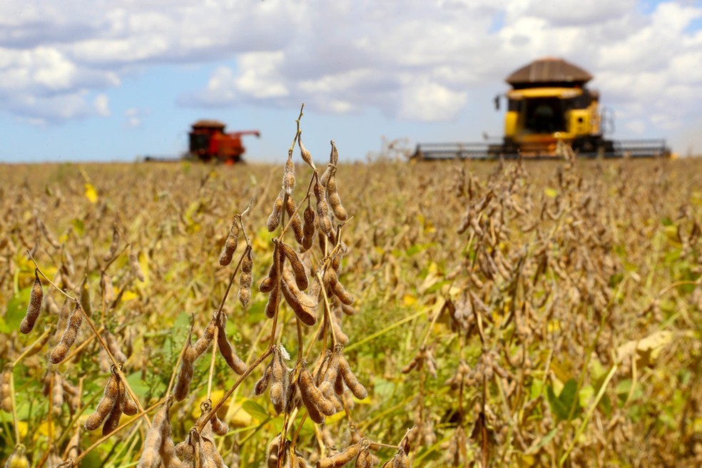 MS colhe 13 milhões de toneladas de soja e bate recorde de produção