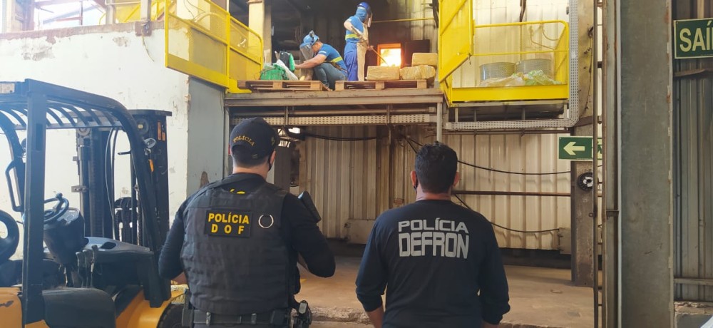 Mais de 41 toneladas de maconha são queimadas pelo DOF e Defron