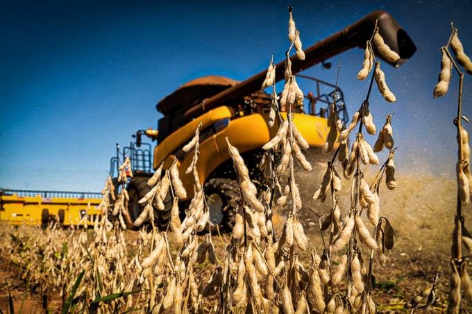 Ponta Porã supera média nacional em área plantada de soja