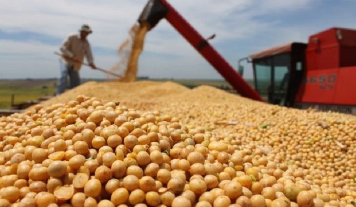 Exportações de MS crescem de janeiro a abril e saldo é de US$ 1,213 bilhão
