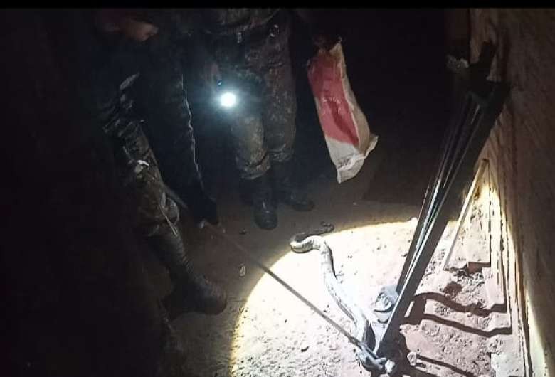 Moradora encontra jiboia de 1,5m em cômodo da casa