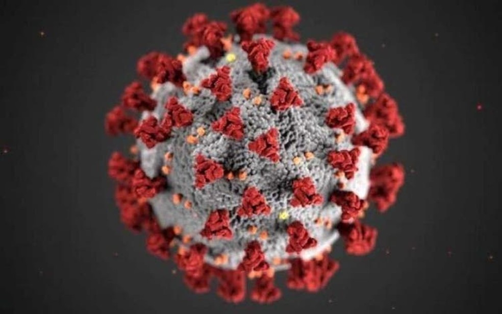 Covid-19 já infectou 8.873 pontaporanenses; óbitos são 258