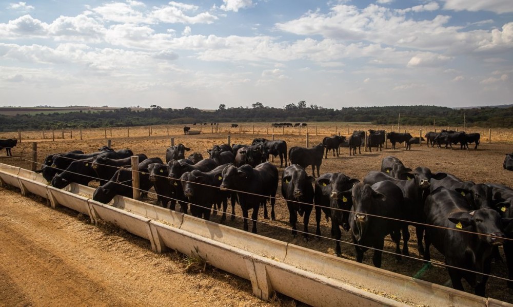 Ipea aumenta previsão de alta do PIB do setor agropecuário