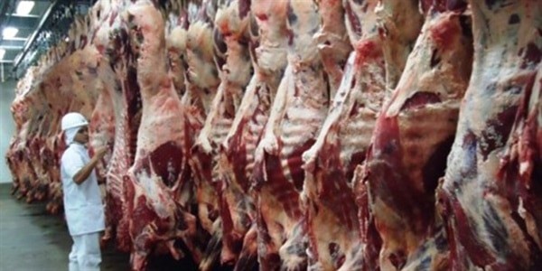 Exportações do MS levam a um superávit de mais de R$ 2 bi