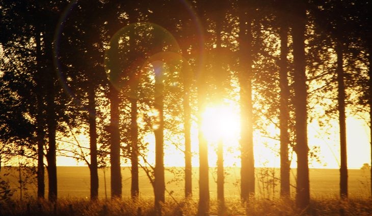Primeira quinzena de agosto será marcada por calor e tempo seco