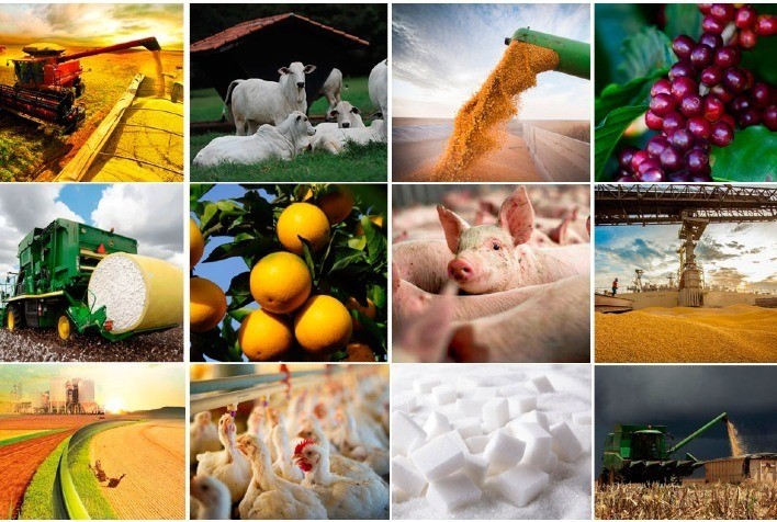 Confiança do agronegócio tem alta no segundo trimestre
