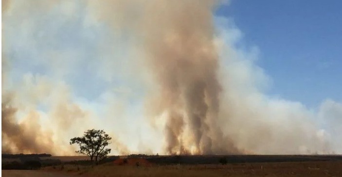 Incêndio atinge plantação de milho na BR-060 e queima caminhonete