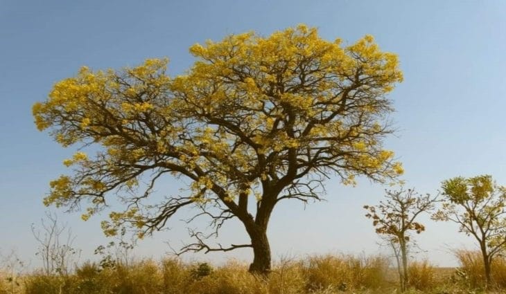 Sábado de sol e calor em toda fronteira