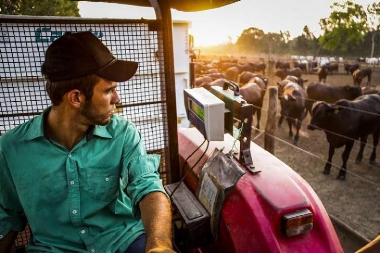 Entre janeiro e julho, agropecuária teve participação de 11% na geração de empregos