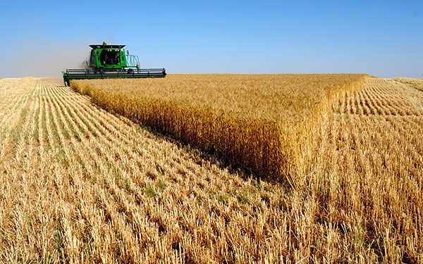 Estado assina termo de colaboração com investimento de R$ 4,4 mi para o agronegócio