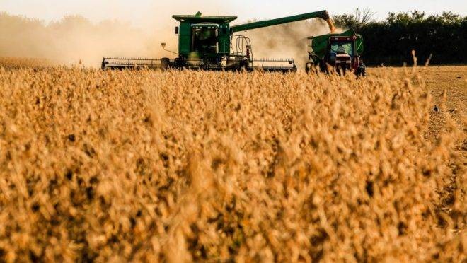 Estado espera colher 12,773 milhões de toneladas de soja