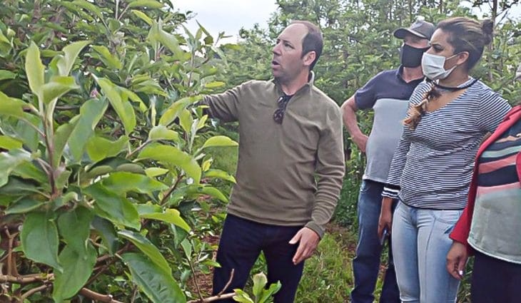 Funtrab está com 655 vagas para indígenas trabalhar em lavouras de maçã